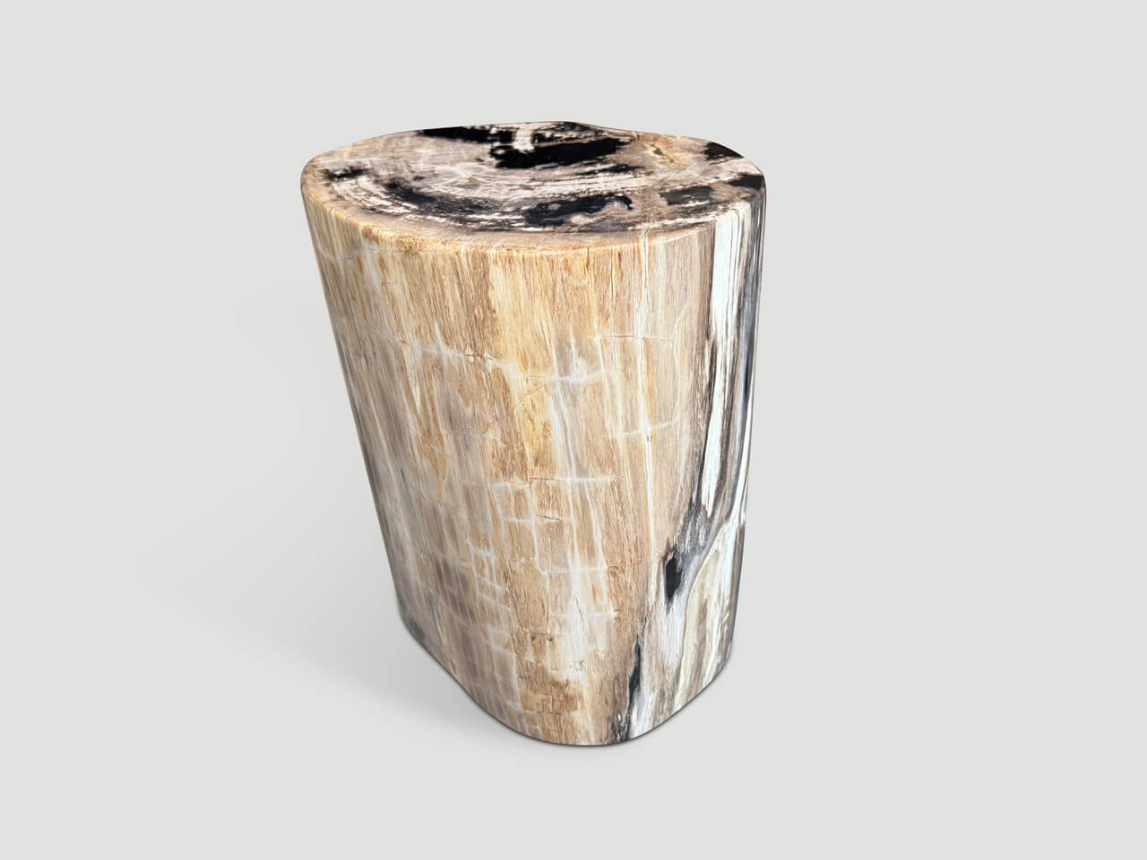 HIGH QUALITY PETRIFIED WOOD SIDE TABLE
