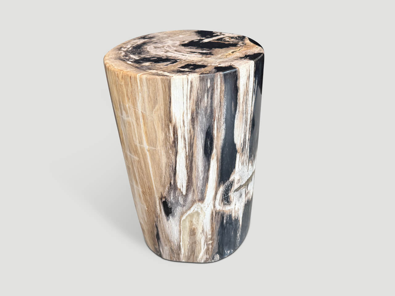 HIGH QUALITY PETRIFIED WOOD SIDE TABLE