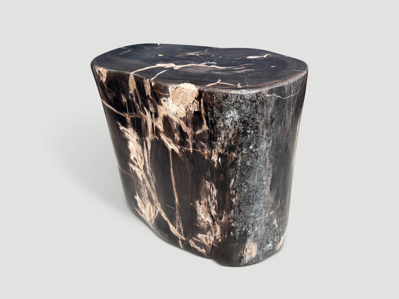 IMPRESSIVE SUPER SMOOTH PETRIFIED WOOD SIDE TABLE