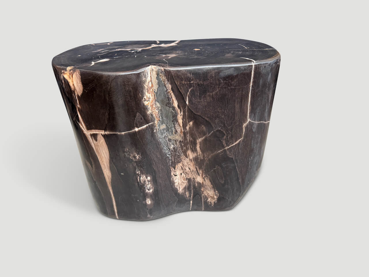 IMPRESSIVE SUPER SMOOTH PETRIFIED WOOD SIDE TABLE