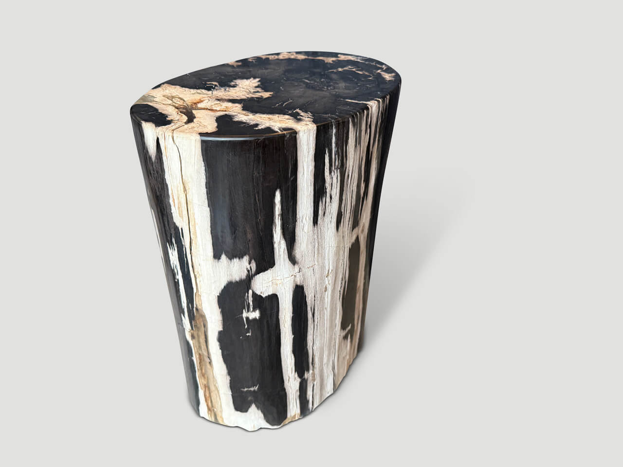 HIGH QUALITY PETRIFIED WOOD SIDE TABLE