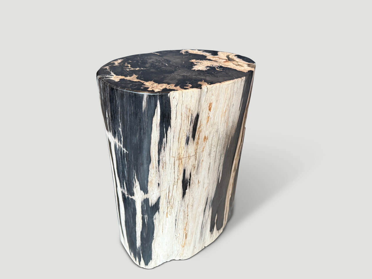 HIGH QUALITY PETRIFIED WOOD SIDE TABLE