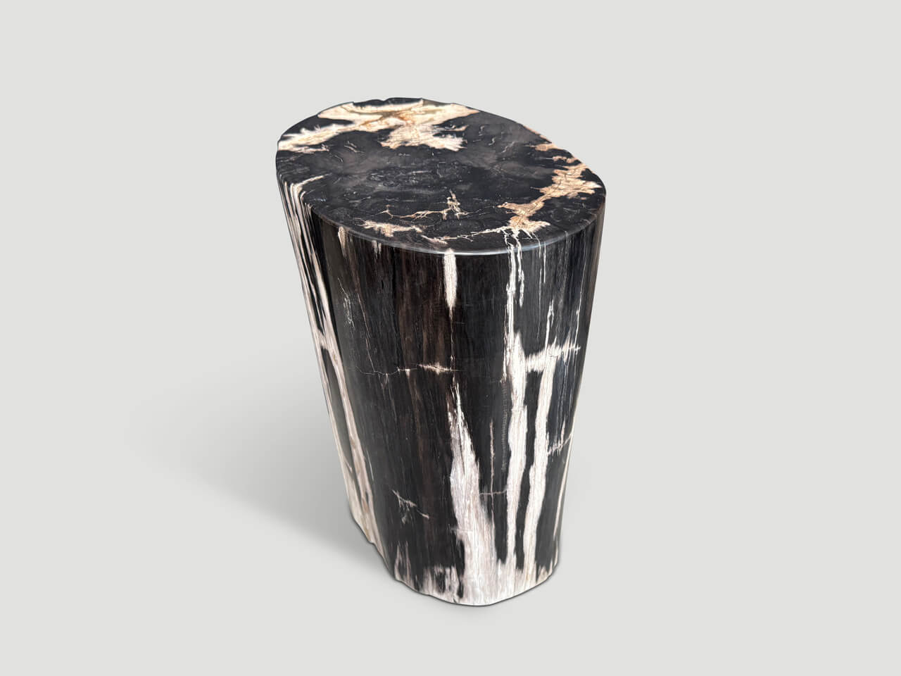 HIGH QUALITY PETRIFIED WOOD SIDE TABLE