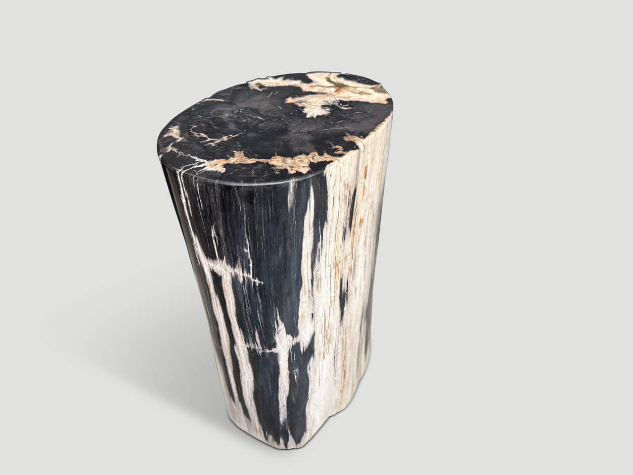 HIGH QUALITY PETRIFIED WOOD SIDE TABLE