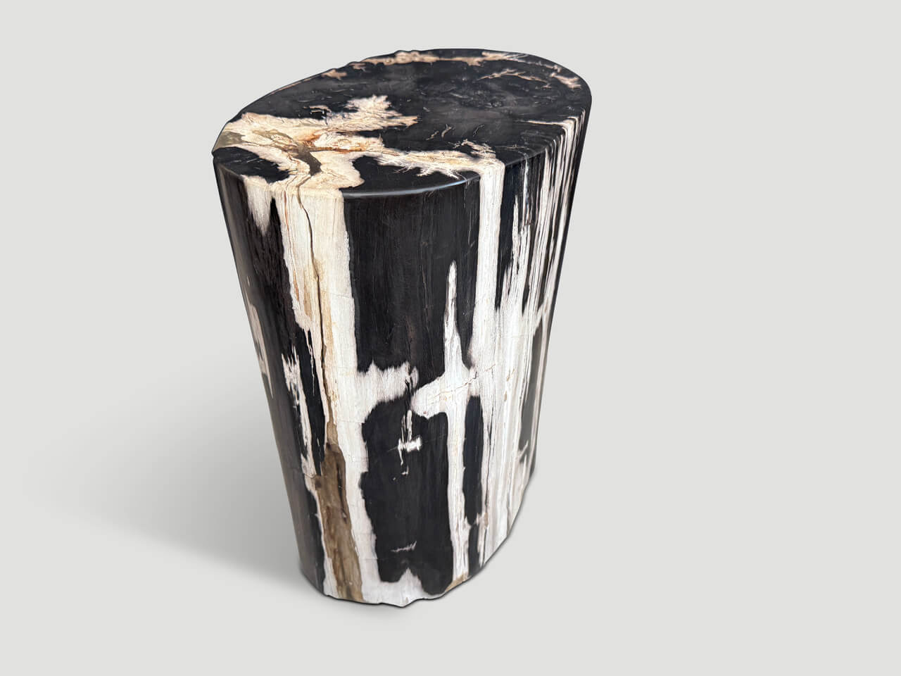HIGH QUALITY PETRIFIED WOOD SIDE TABLE