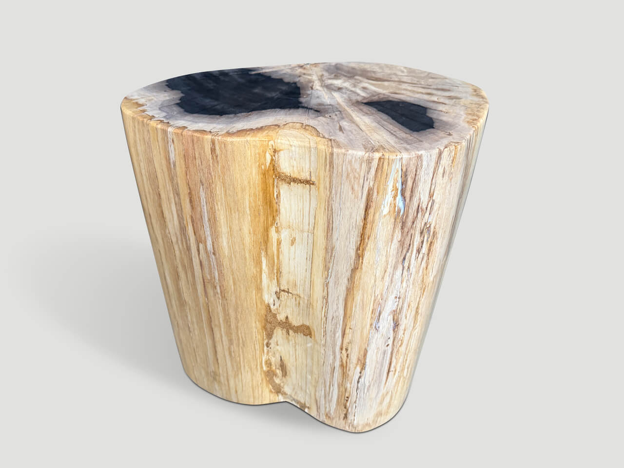 IMPRESSIVE HIGH QUALITY PETRIFIED WOOD SIDE TABLE
