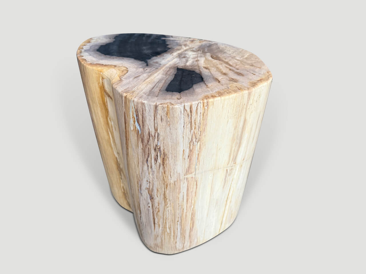IMPRESSIVE HIGH QUALITY PETRIFIED WOOD SIDE TABLE