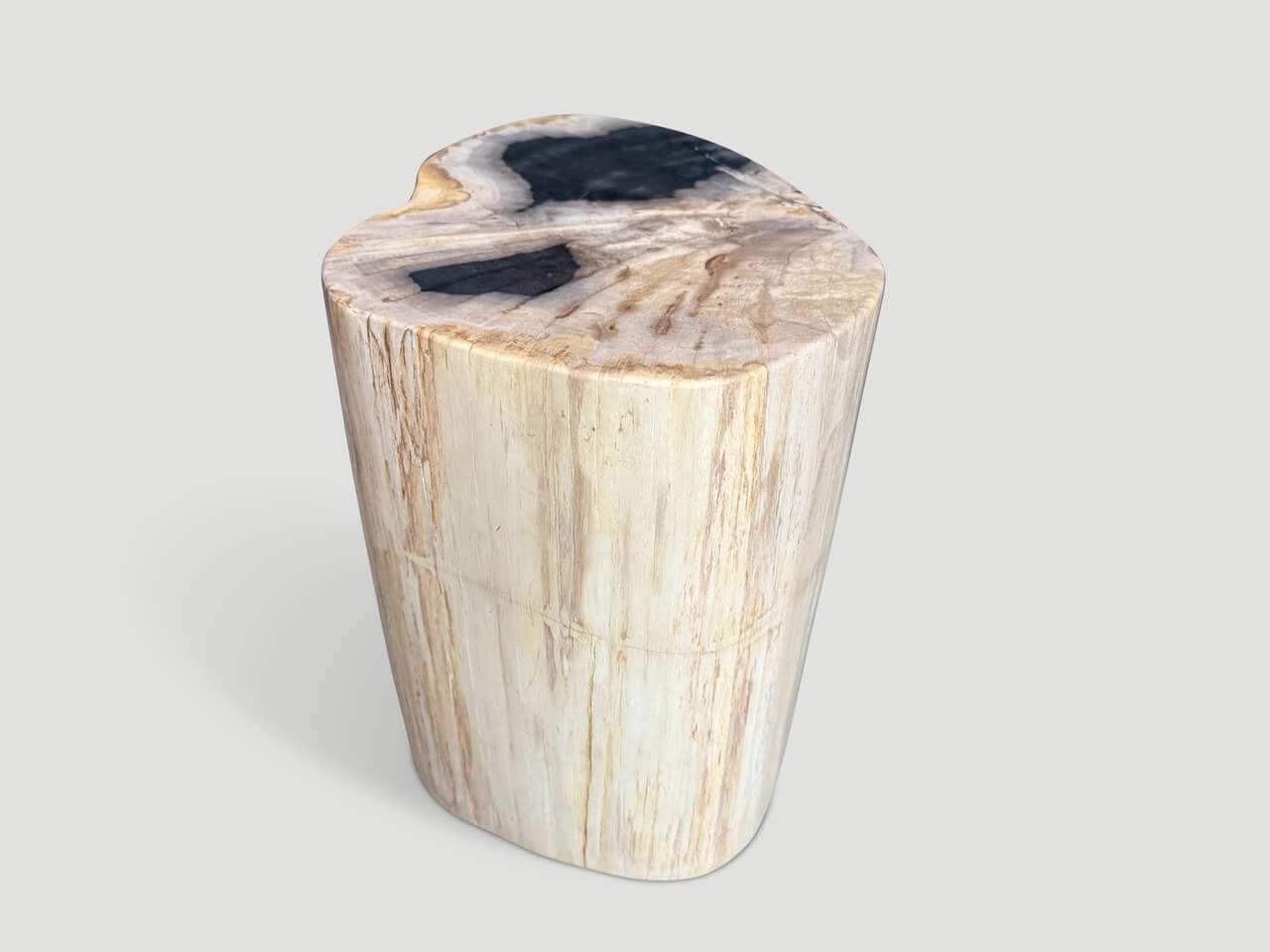 IMPRESSIVE HIGH QUALITY PETRIFIED WOOD SIDE TABLE