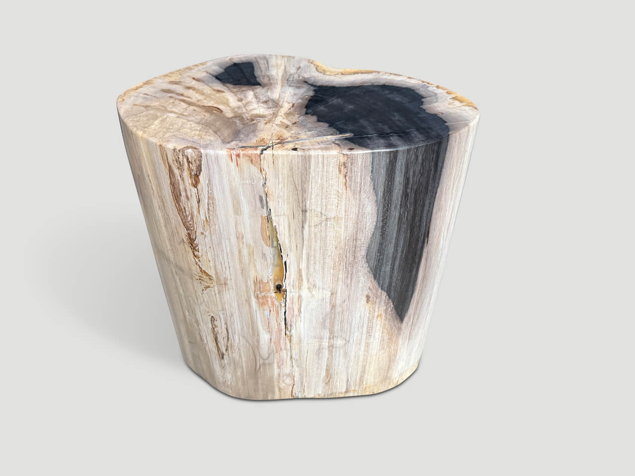 IMPRESSIVE HIGH QUALITY PETRIFIED WOOD SIDE TABLE