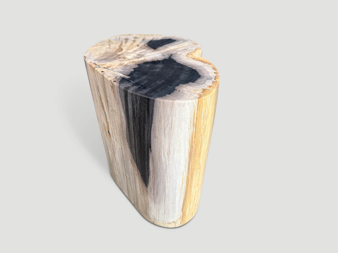 IMPRESSIVE HIGH QUALITY PETRIFIED WOOD SIDE TABLE