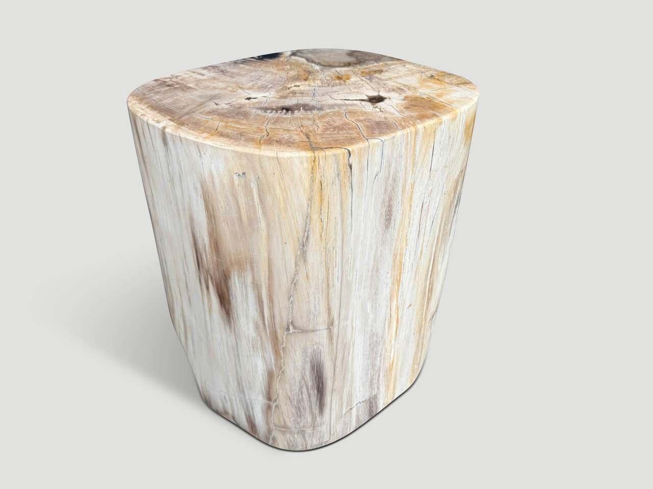 HIGH QUALITY PETRIFIED WOOD SIDE TABLE