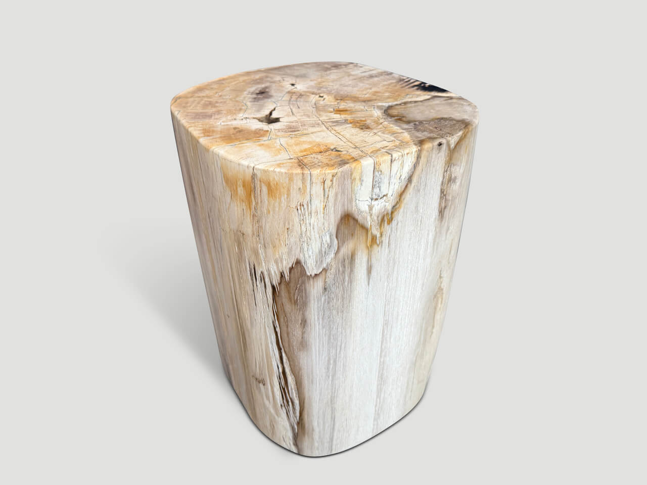 HIGH QUALITY PETRIFIED WOOD SIDE TABLE