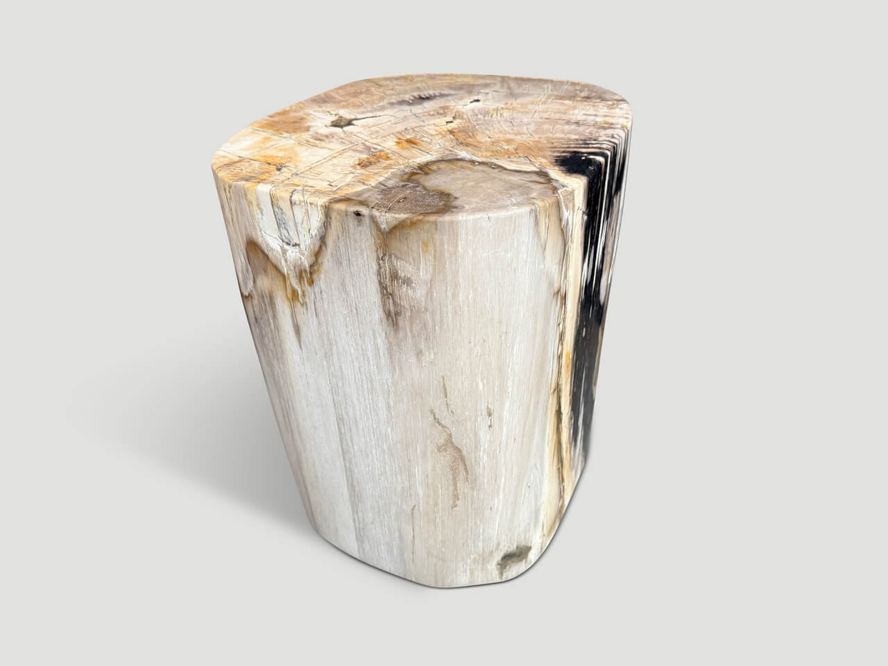 HIGH QUALITY PETRIFIED WOOD SIDE TABLE