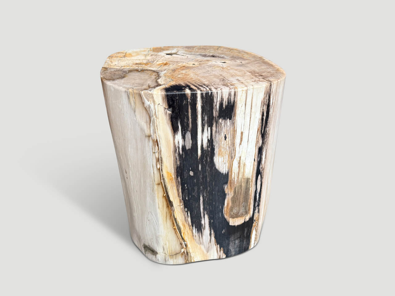 HIGH QUALITY PETRIFIED WOOD SIDE TABLE