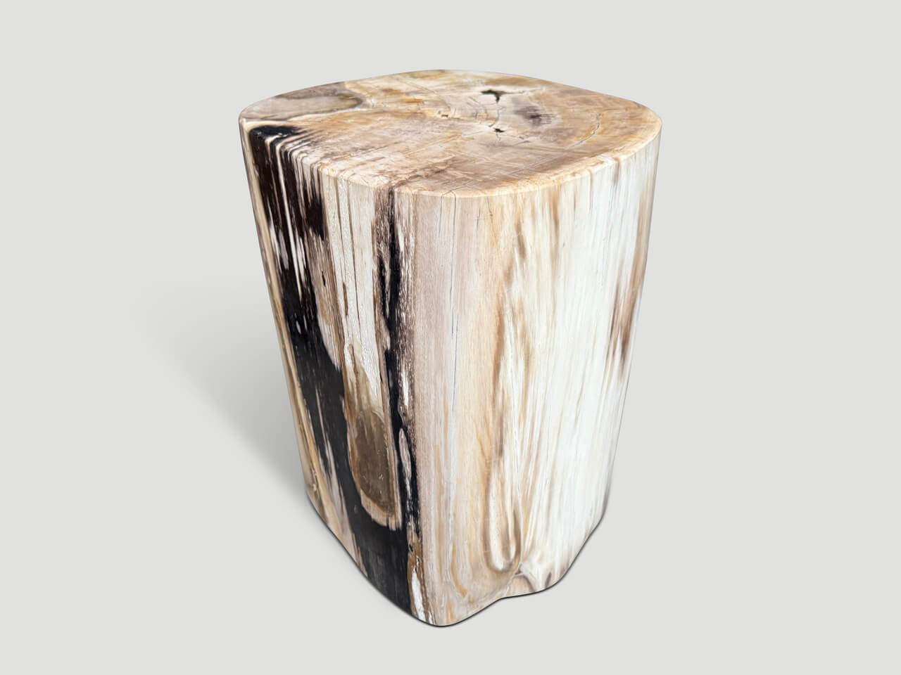 HIGH QUALITY PETRIFIED WOOD SIDE TABLE