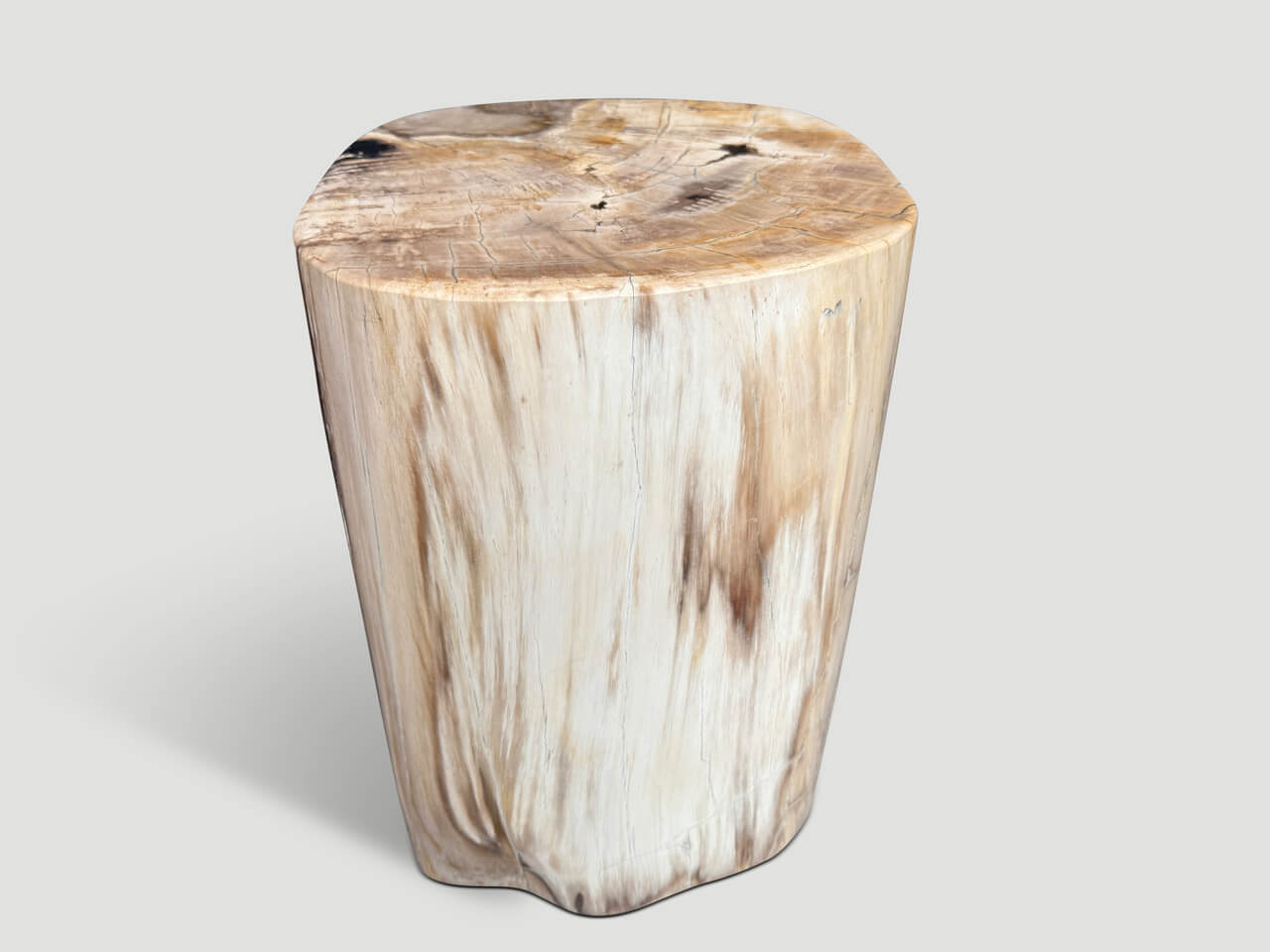 HIGH QUALITY PETRIFIED WOOD SIDE TABLE