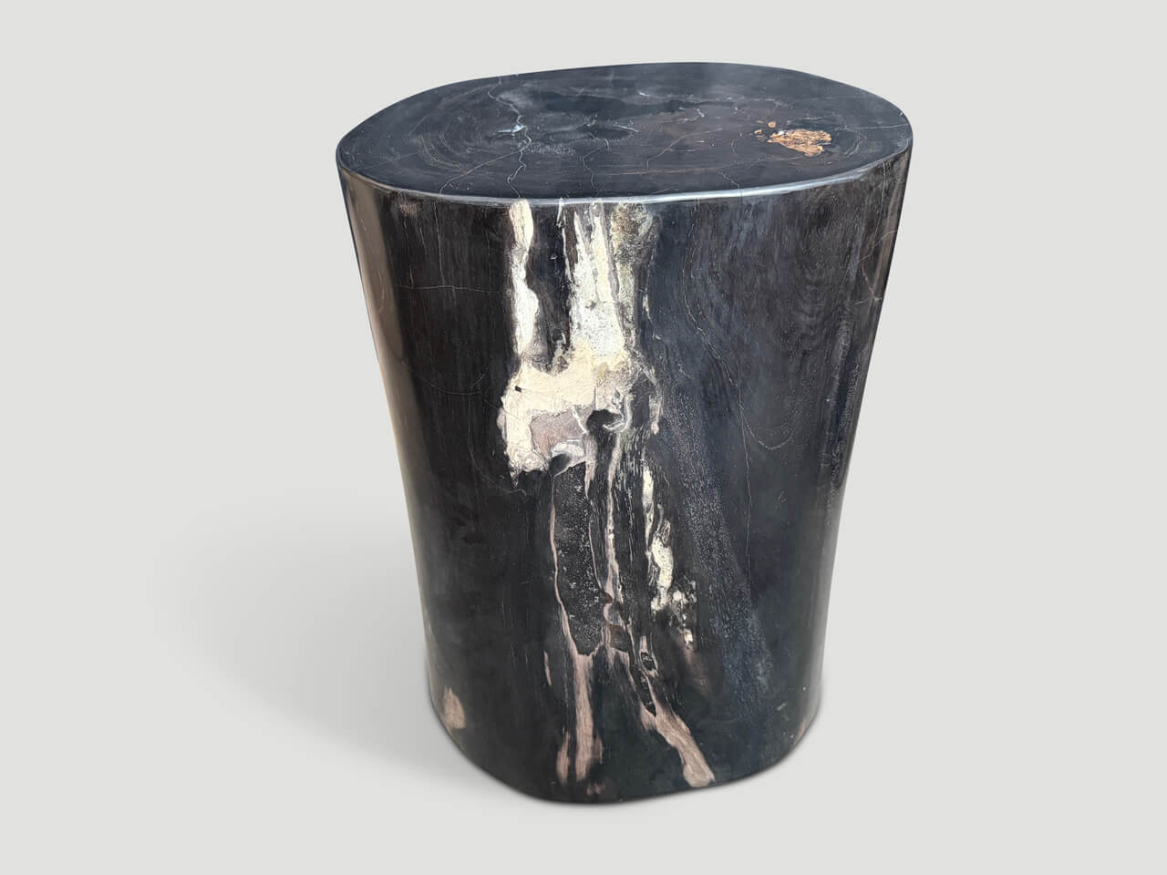SUPER SMOOTH ANCIENT PETRIFIED WOOD SIDE TABLE