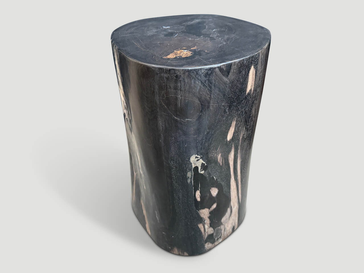 SUPER SMOOTH ANCIENT PETRIFIED WOOD SIDE TABLE