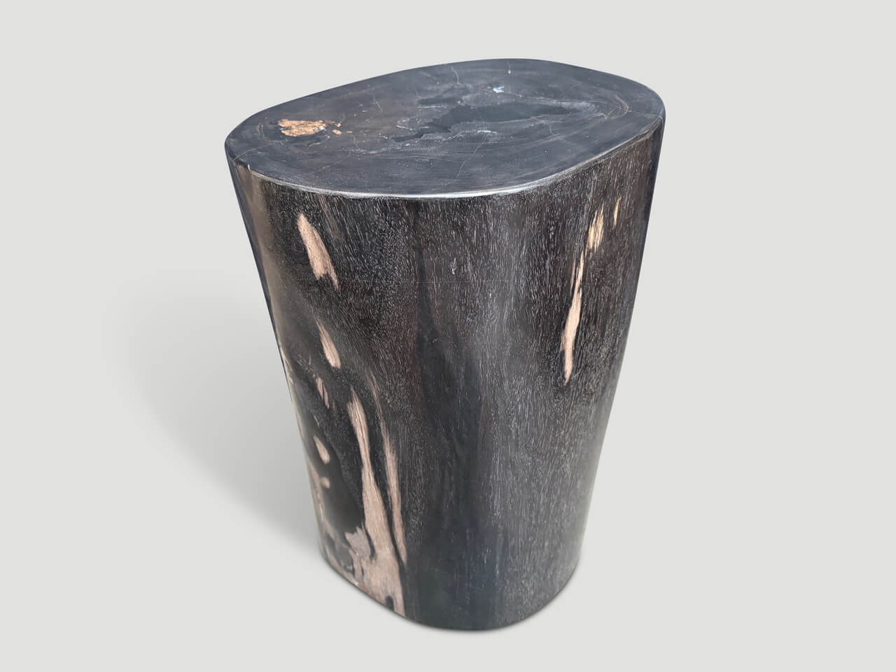 SUPER SMOOTH ANCIENT PETRIFIED WOOD SIDE TABLE