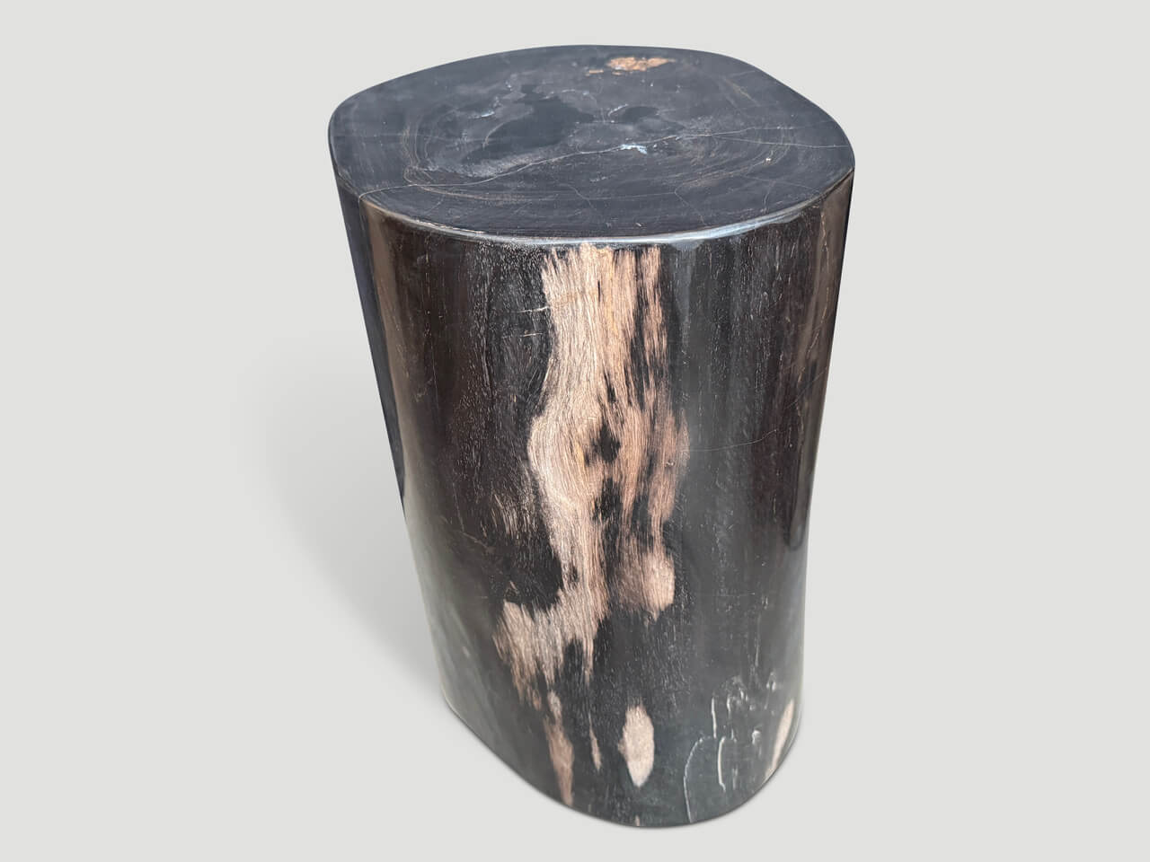 SUPER SMOOTH ANCIENT PETRIFIED WOOD SIDE TABLE