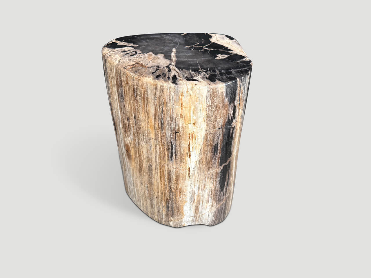 HIGH QUALITY PETRIFIED WOOD SIDE TABLE