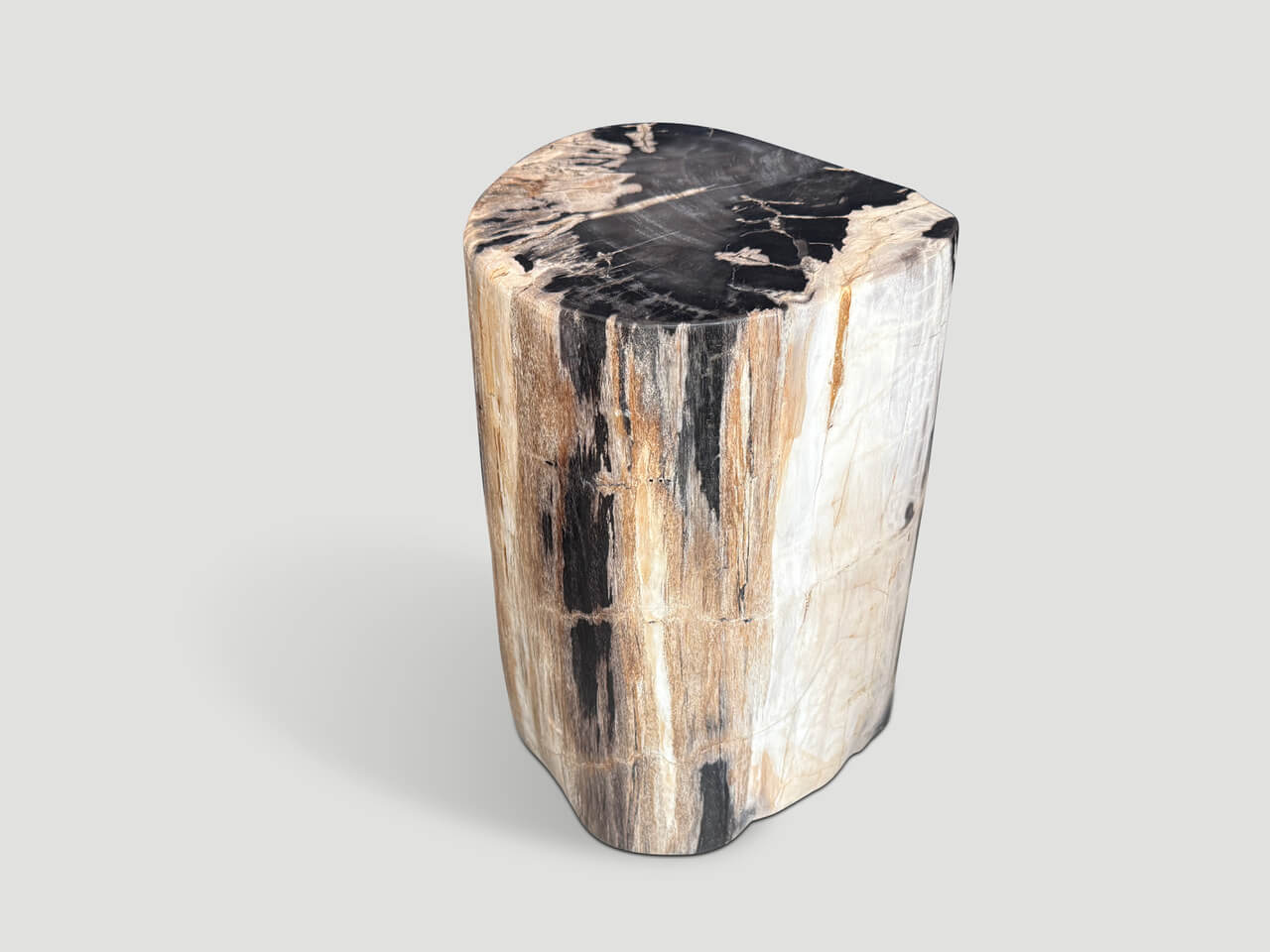 HIGH QUALITY PETRIFIED WOOD SIDE TABLE