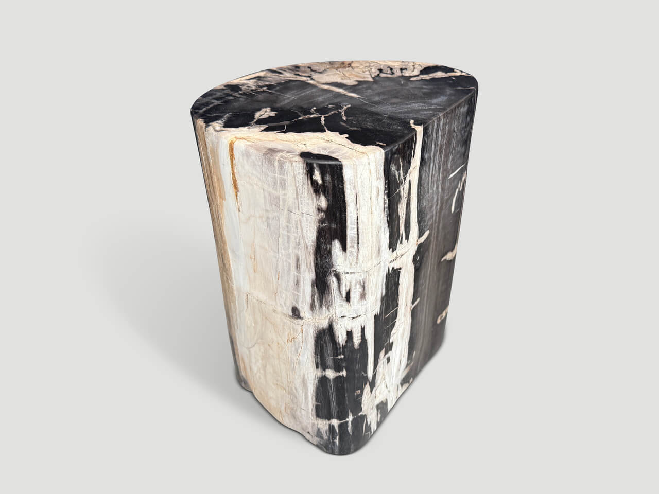 HIGH QUALITY PETRIFIED WOOD SIDE TABLE