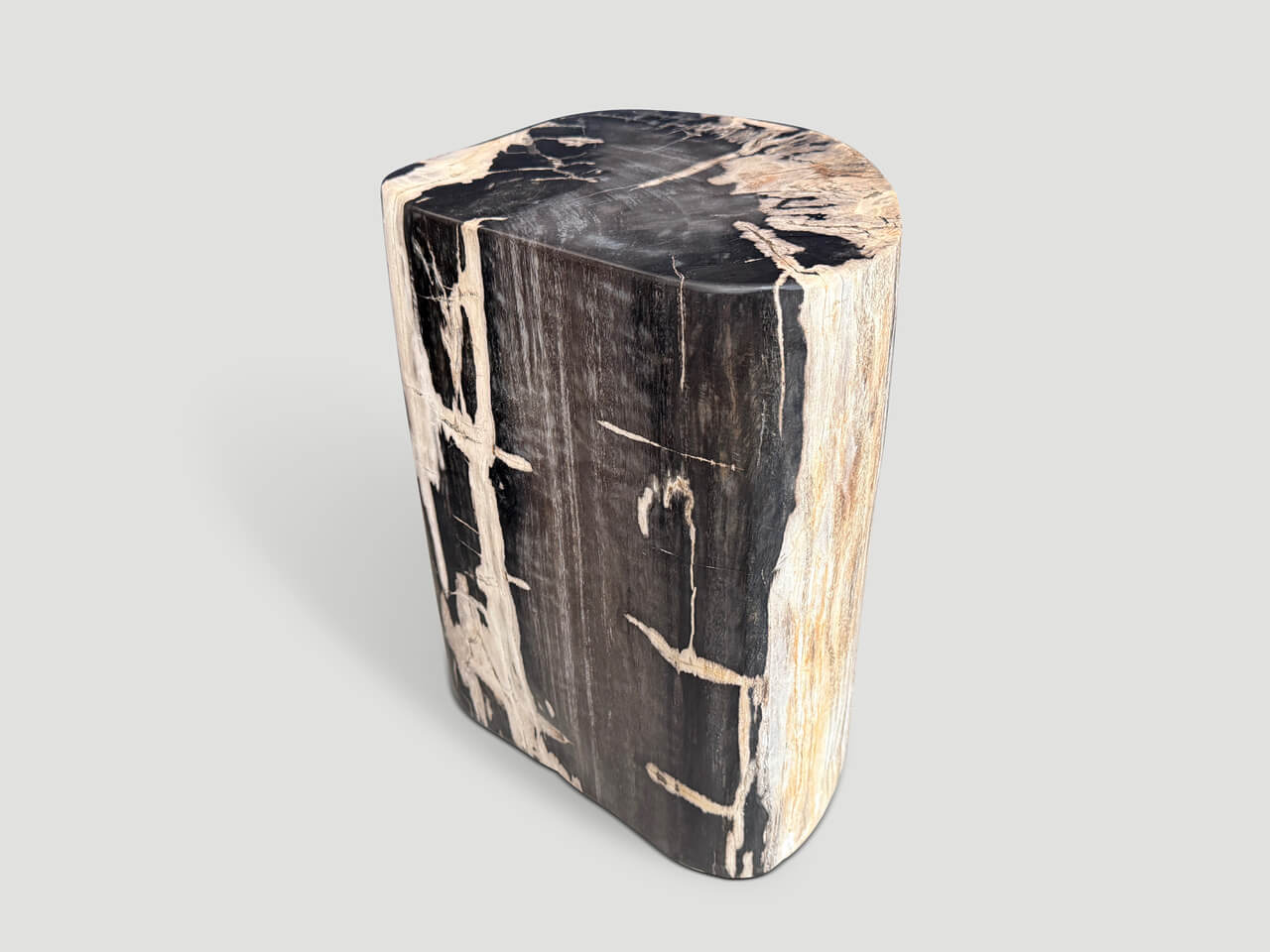 HIGH QUALITY PETRIFIED WOOD SIDE TABLE