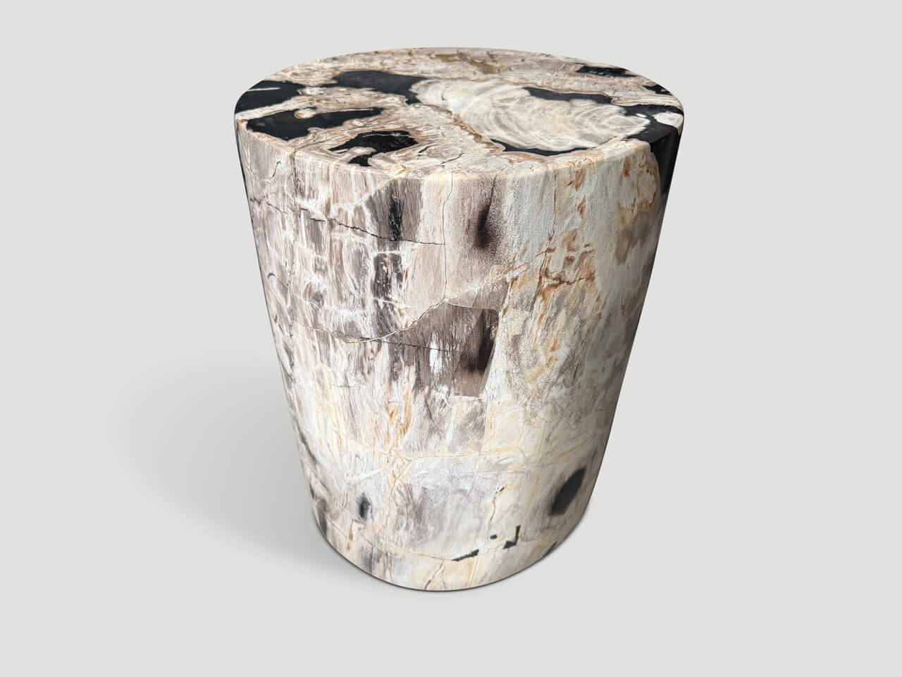 HIGH QUALITY PETRIFIED WOOD SIDE TABLE