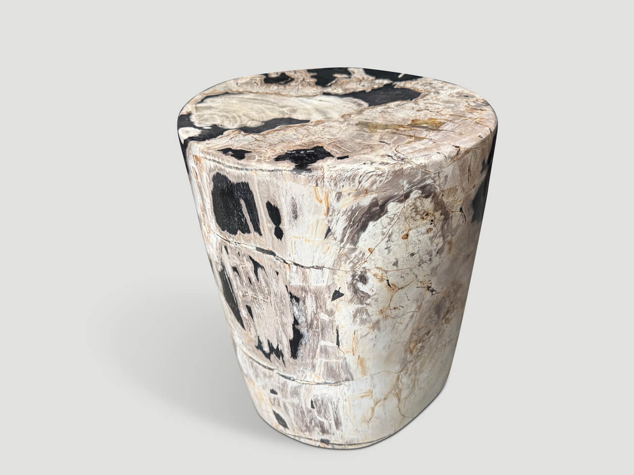 HIGH QUALITY PETRIFIED WOOD SIDE TABLE
