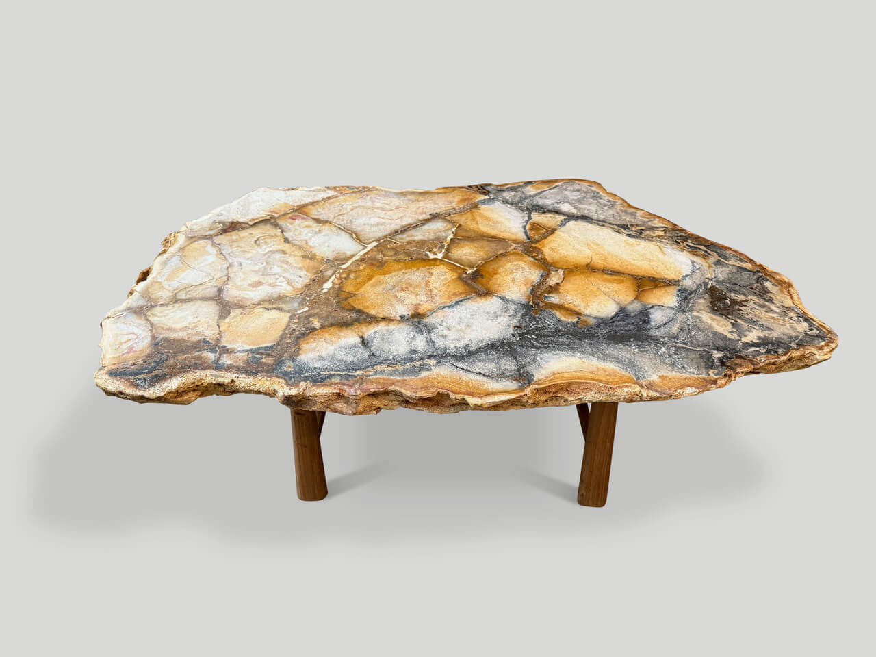 BEAUTIFUL RARE PETRIFIED WOOD COFFEE TABLE