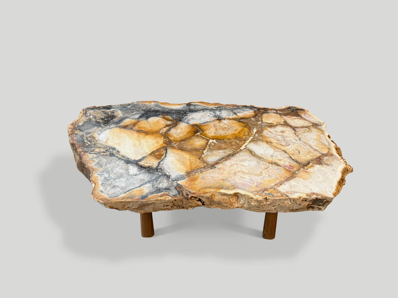 BEAUTIFUL RARE PETRIFIED WOOD COFFEE TABLE