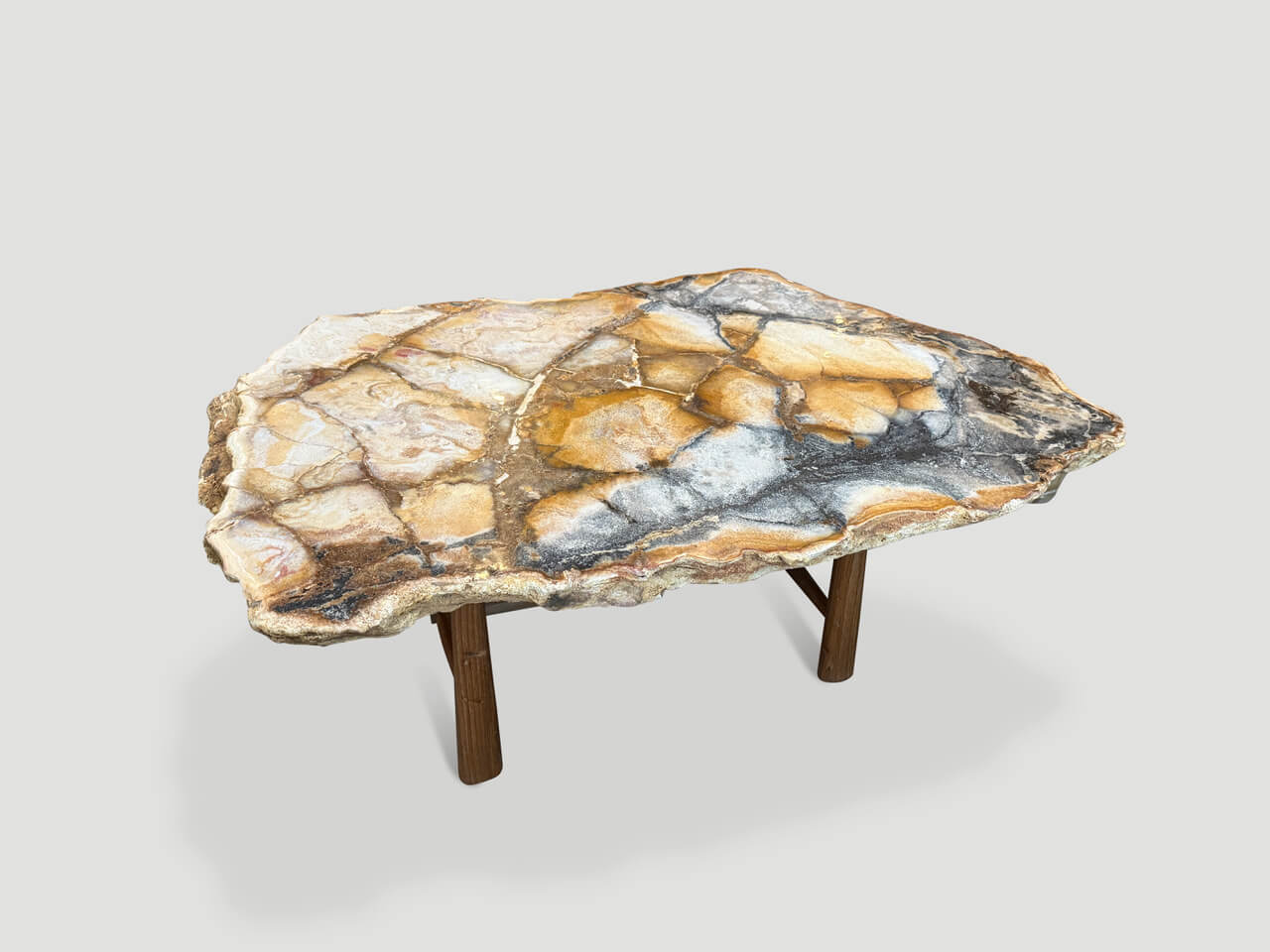 BEAUTIFUL RARE PETRIFIED WOOD COFFEE TABLE