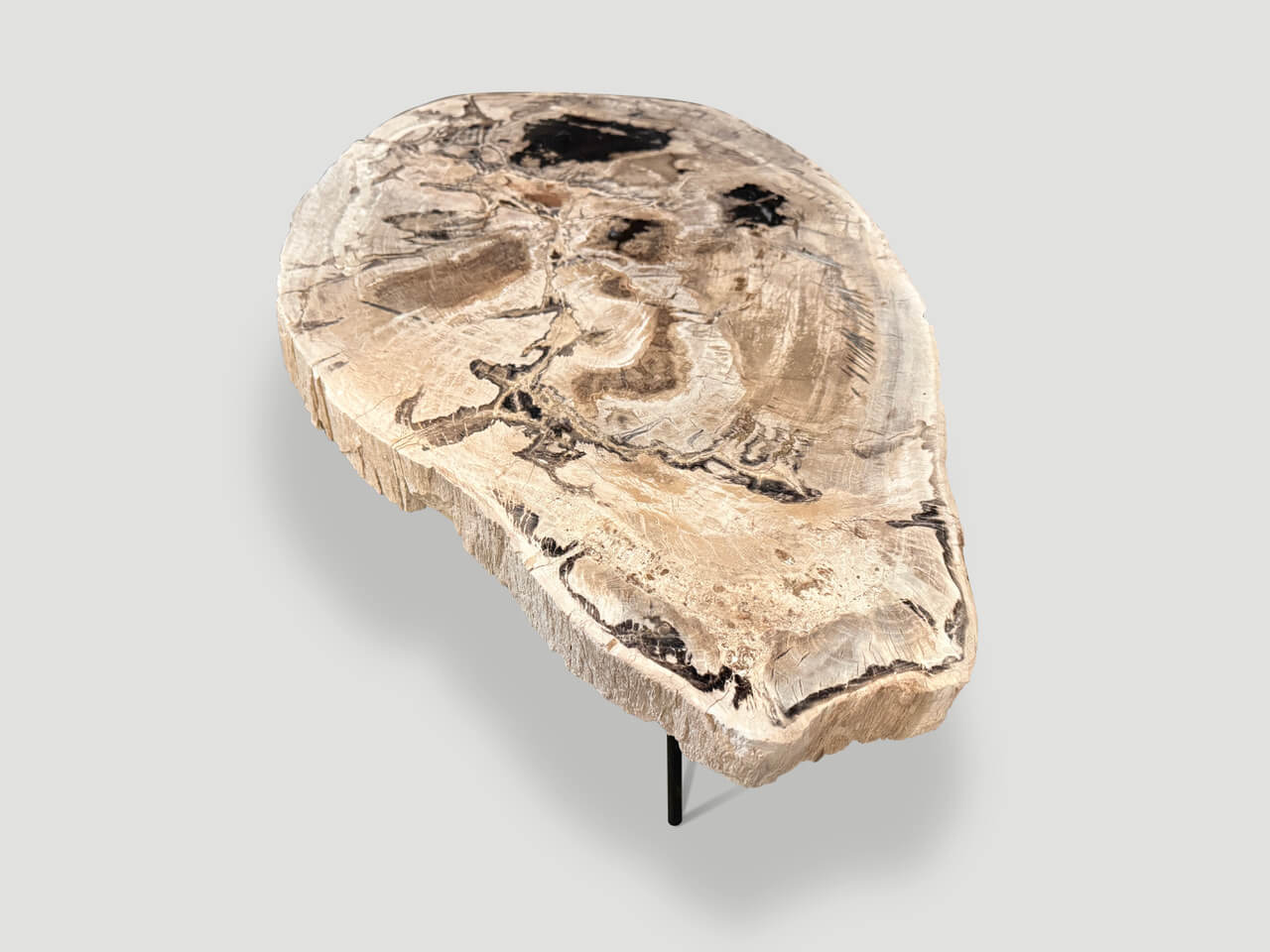 MINIMALIST PETRIFIED WOOD COFFEE TABLE