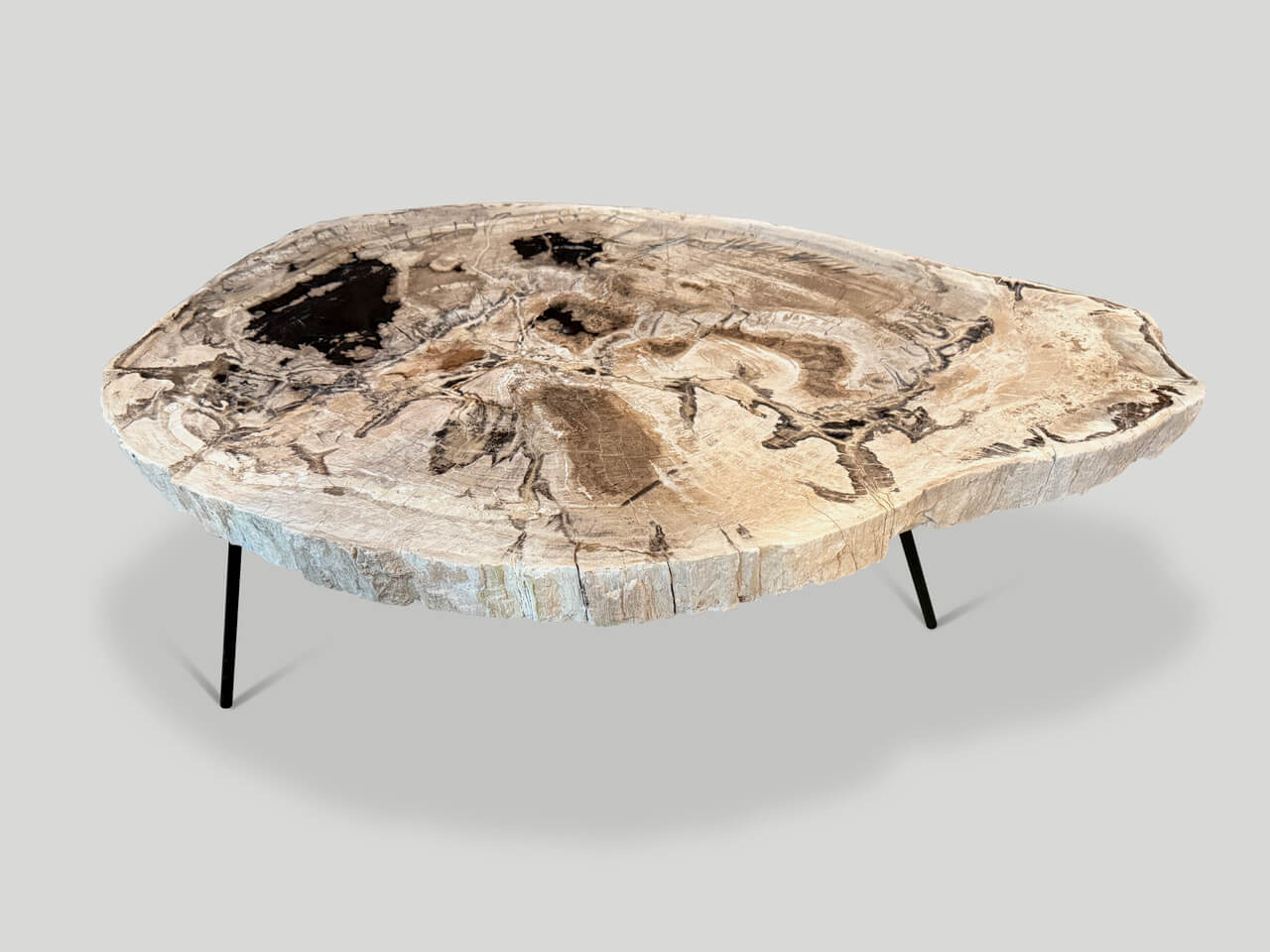 MINIMALIST PETRIFIED WOOD COFFEE TABLE