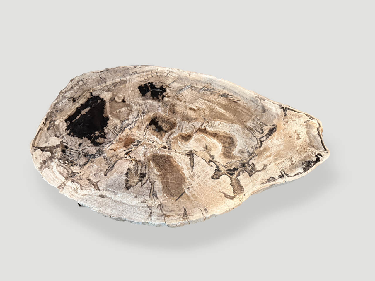 MINIMALIST PETRIFIED WOOD COFFEE TABLE