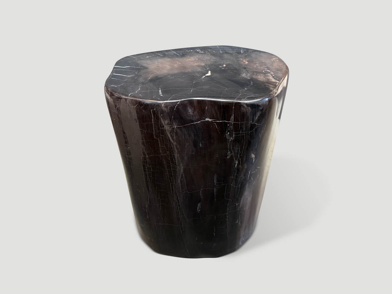 high quality petrified wood side table
