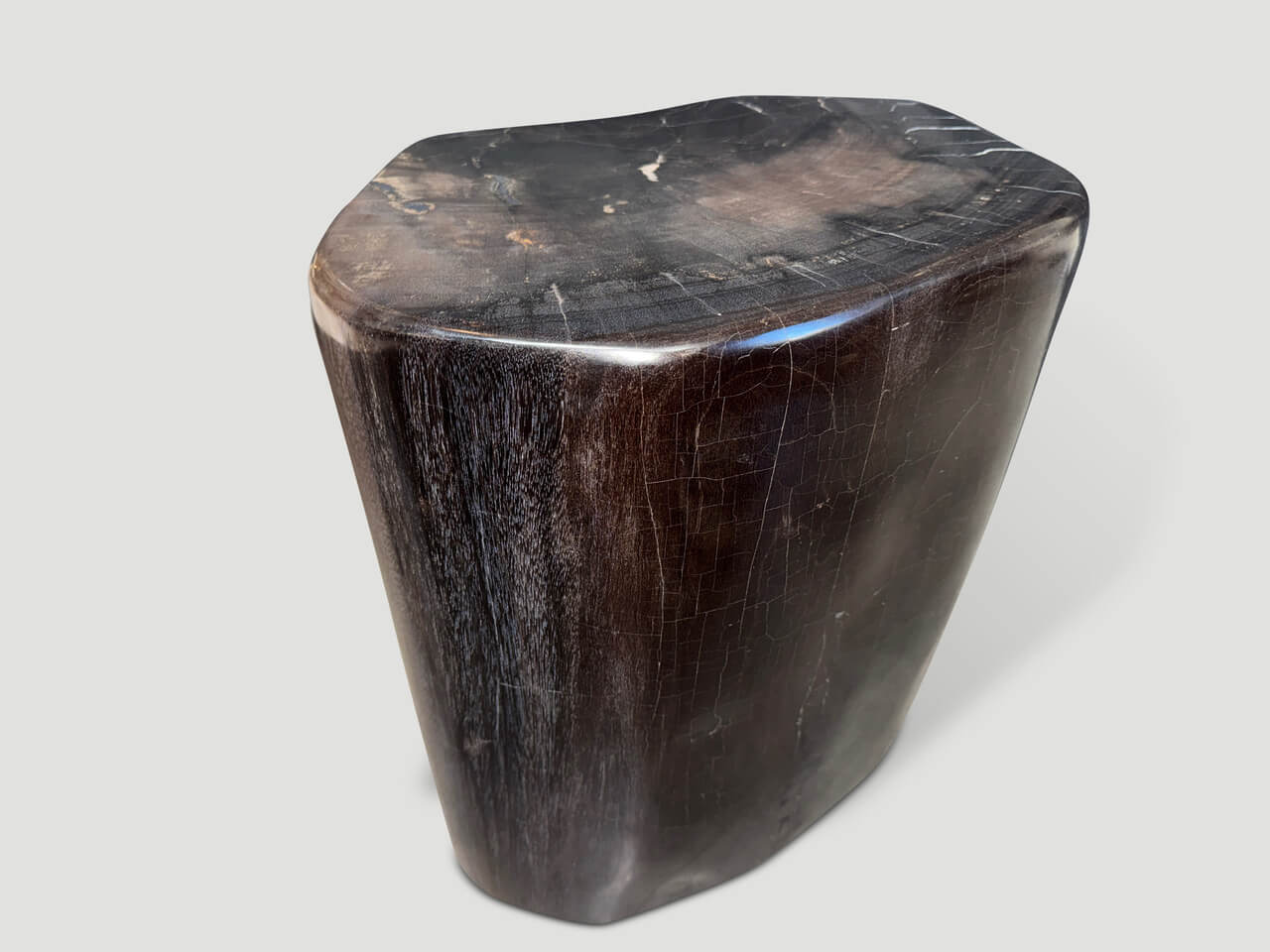 high quality petrified wood side table