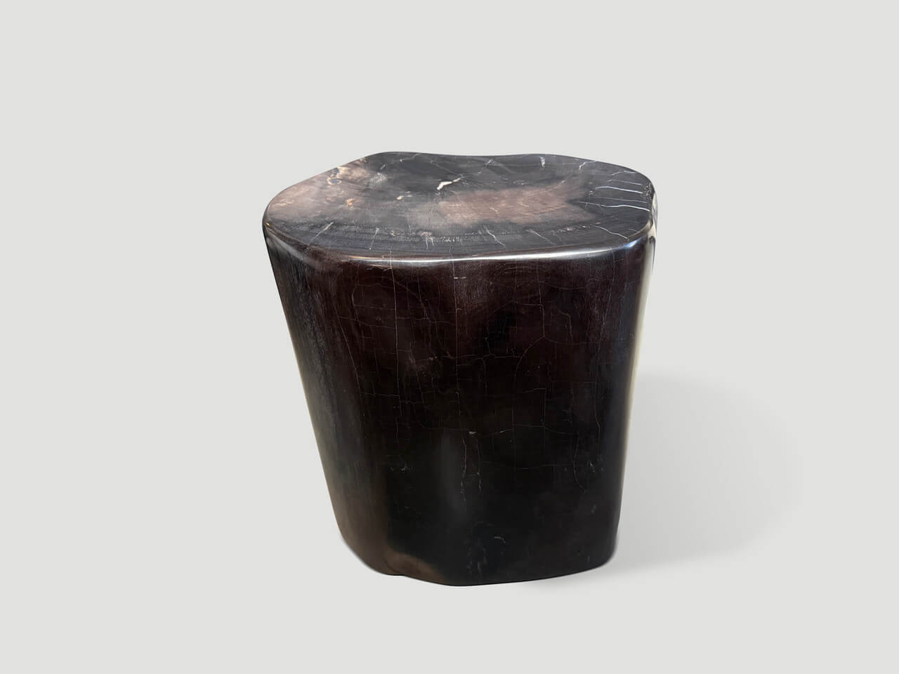 high quality petrified wood side table