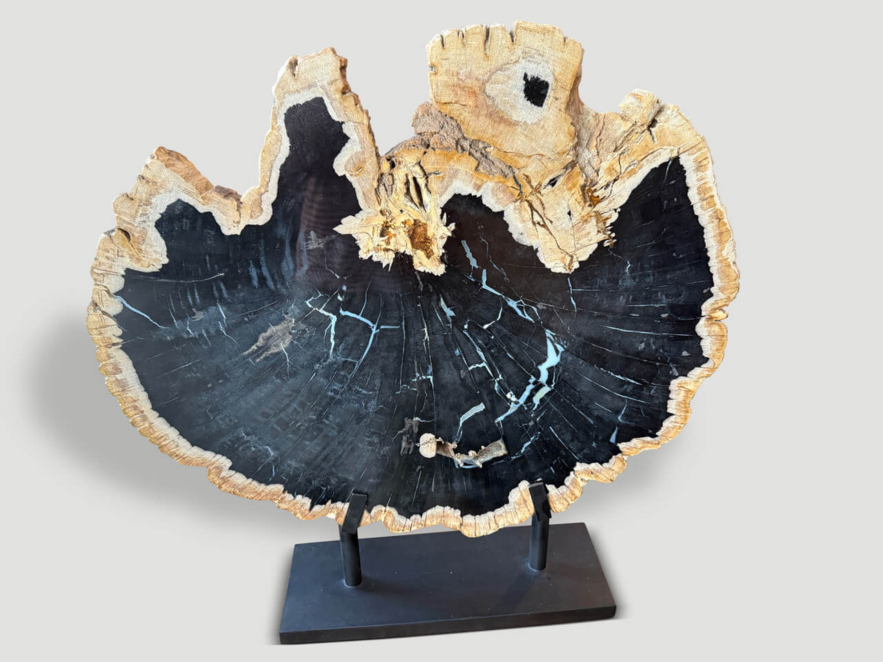 petrified wood on stand