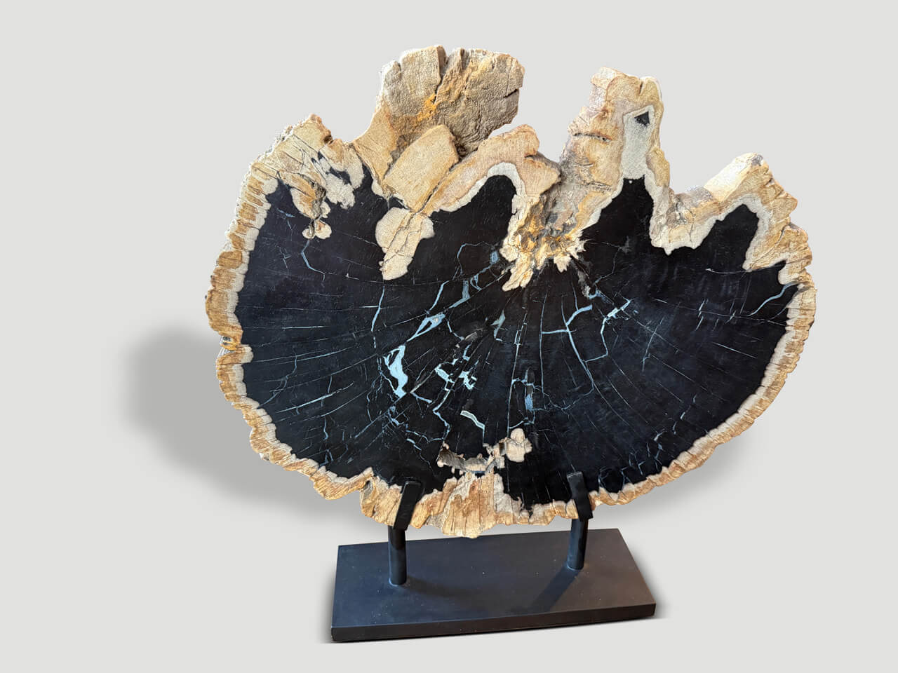 petrified wood on stand