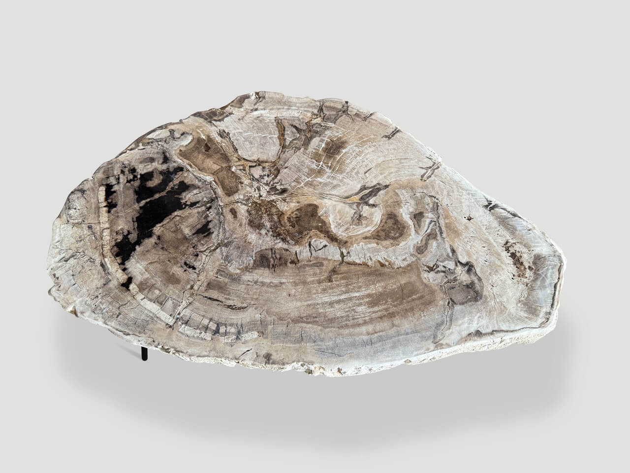 minimalist petrified wood coffee table