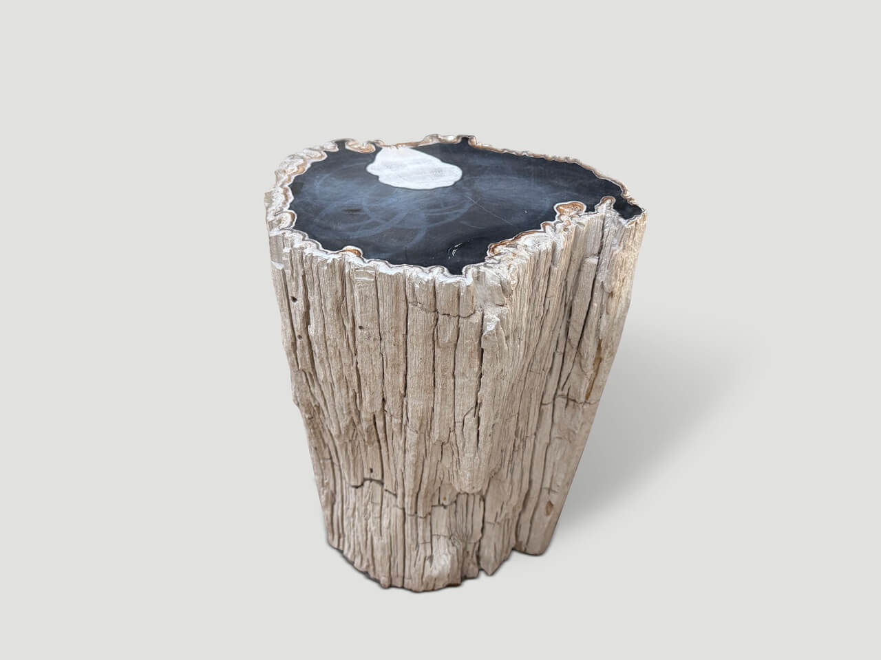 high quality petrified wood side table