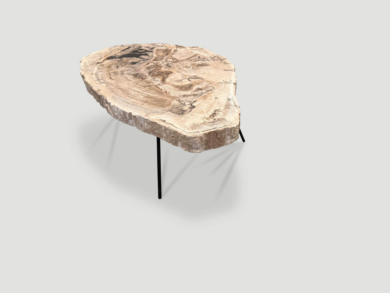 minimalist petrified wood coffee table