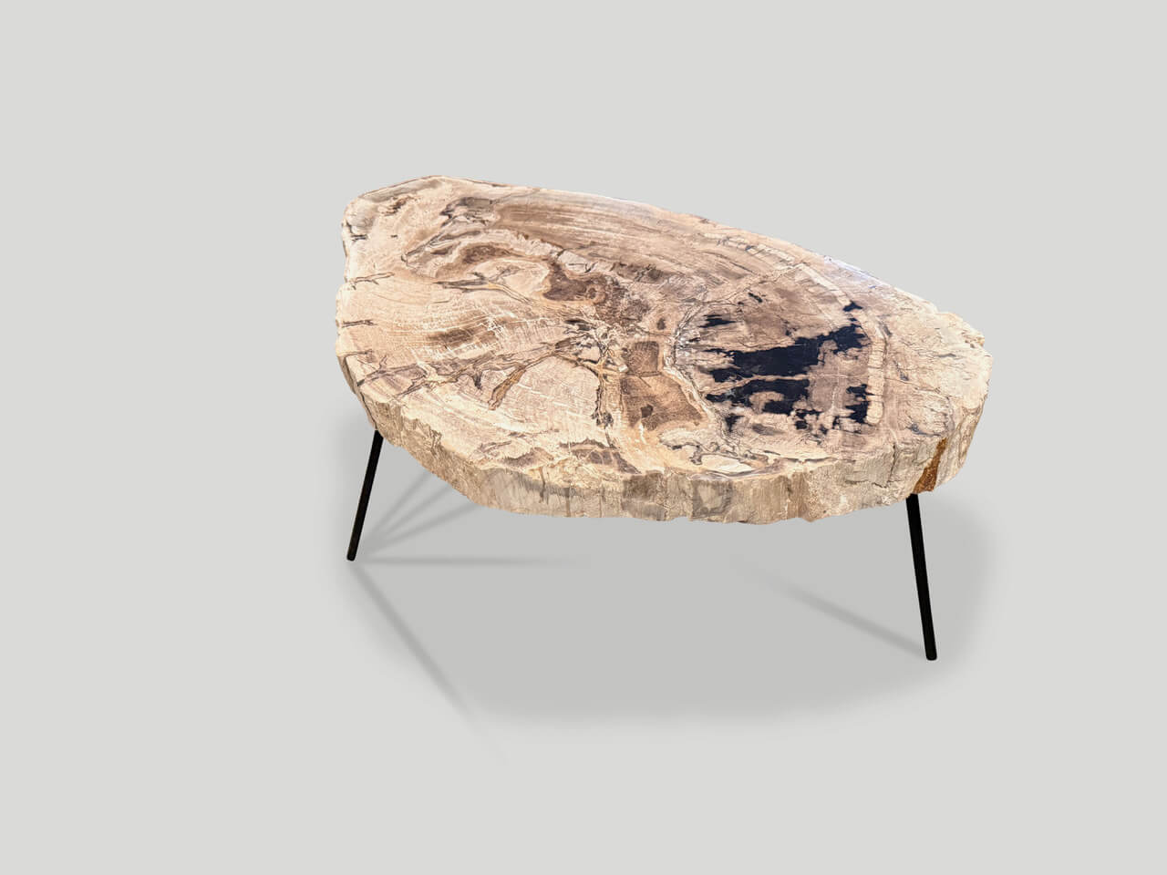 minimalist petrified wood coffee table