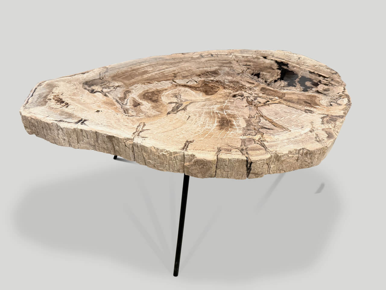 minimalist petrified wood coffee table