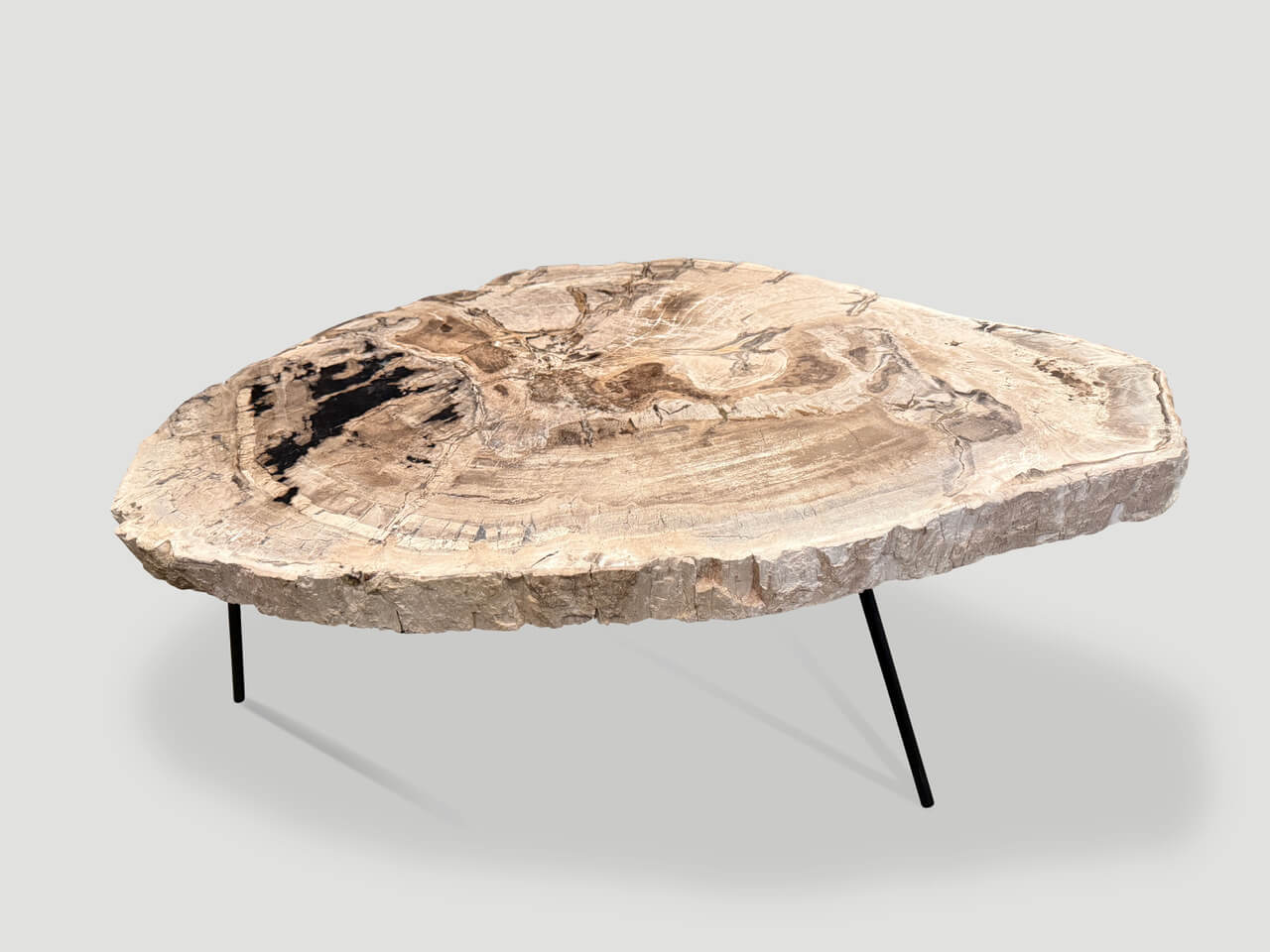 minimalist petrified wood coffee table