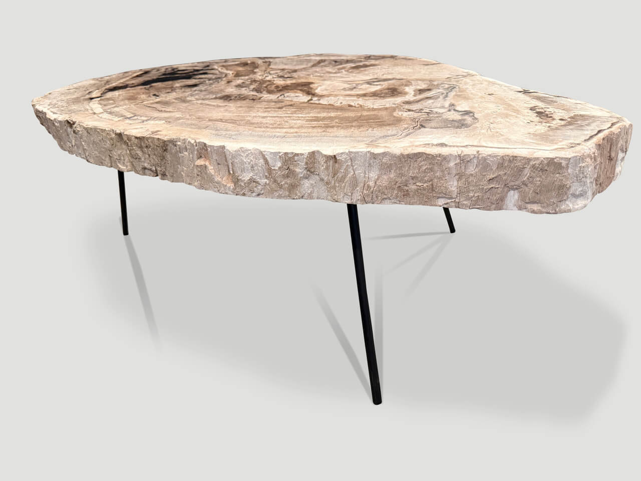 minimalist petrified wood coffee table