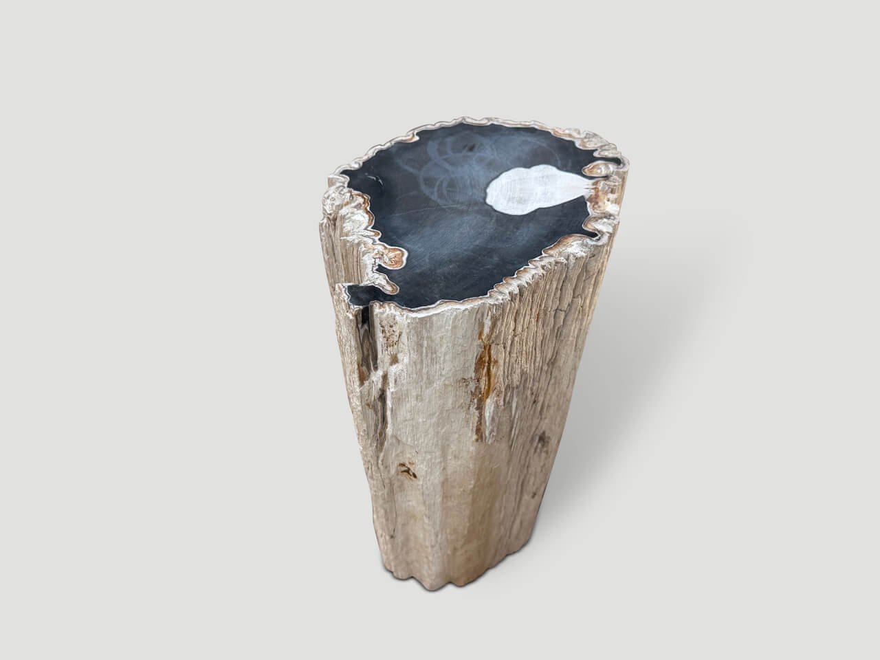 high quality petrified wood side table