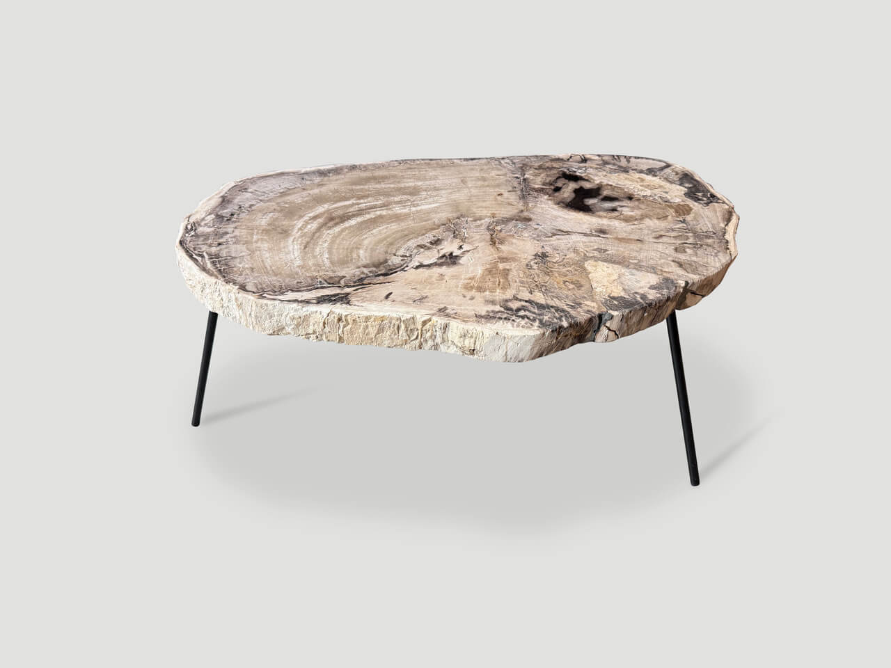 petrified wood coffee table on mid century base